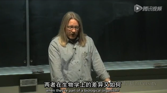 18.骨科和生物力学（一）