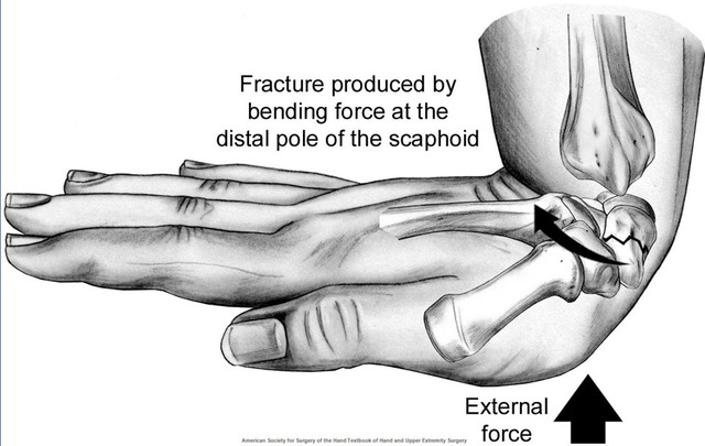 Screen Shot 2015-10-27 at 12.35.11.png