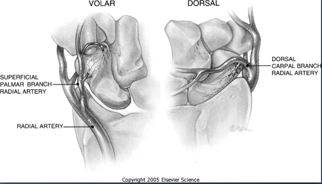 Screen Shot 2015-10-27 at 13.06.18.png