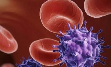 艾滋病的传播过程 HIV life cycle