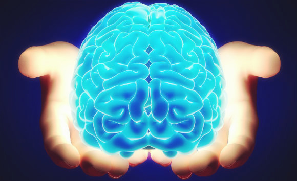 医学动画：脑震荡演示