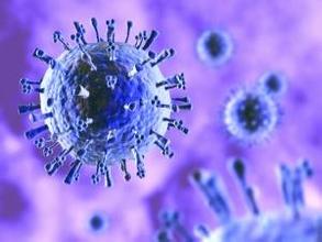 【医学动画】流感病毒是怎样大量繁殖的？